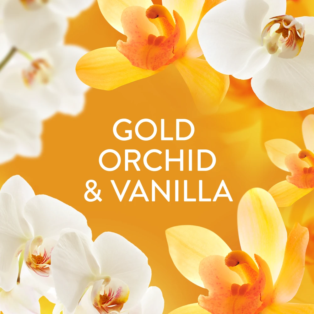 LENOR audinių minkštiklis Gold Orchid & Vanilla 2 x 987 ml (94 Skalbimai)