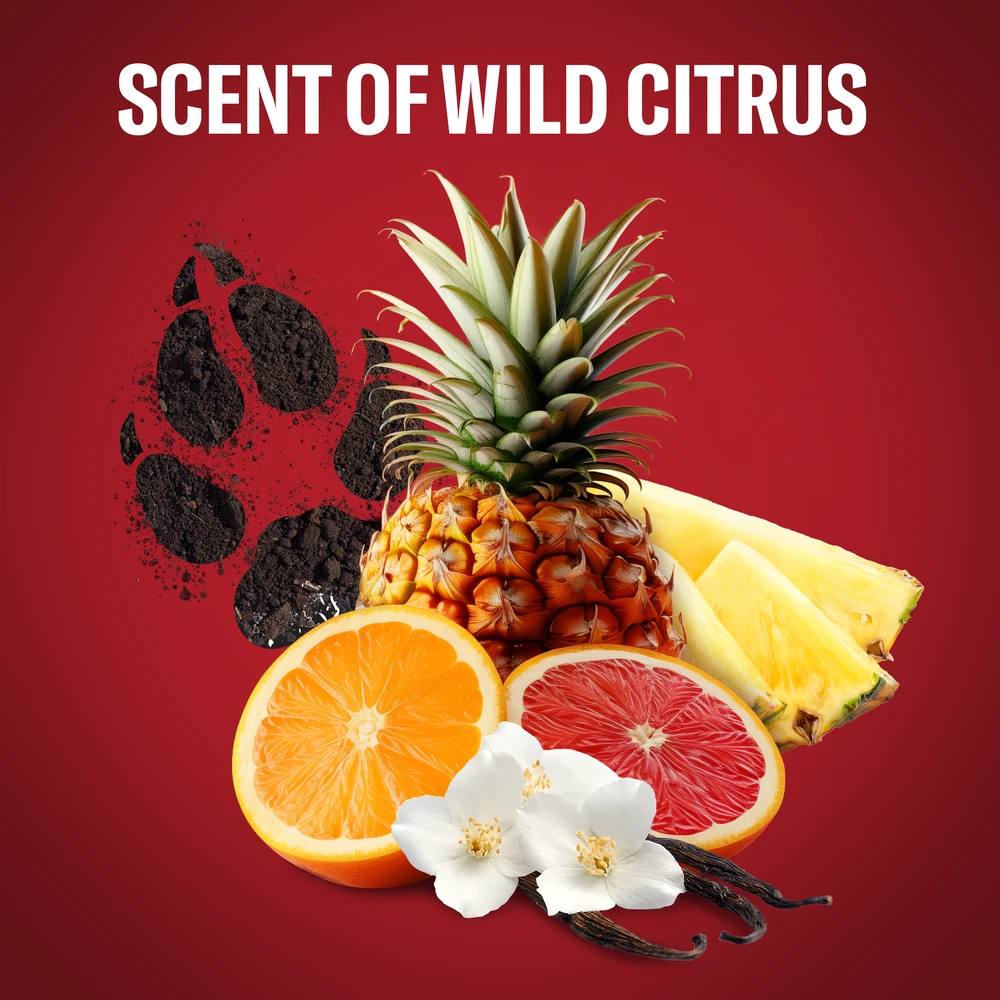 Old Spice Wolfthorn Dušo Želė Ir Šampūnas Vyrams, 4x1000 ml