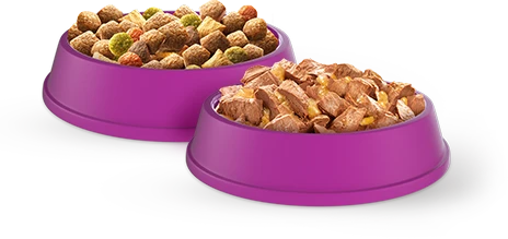 Whiskas Cat Adult su Vištiena ir Daržovėmis 14kg