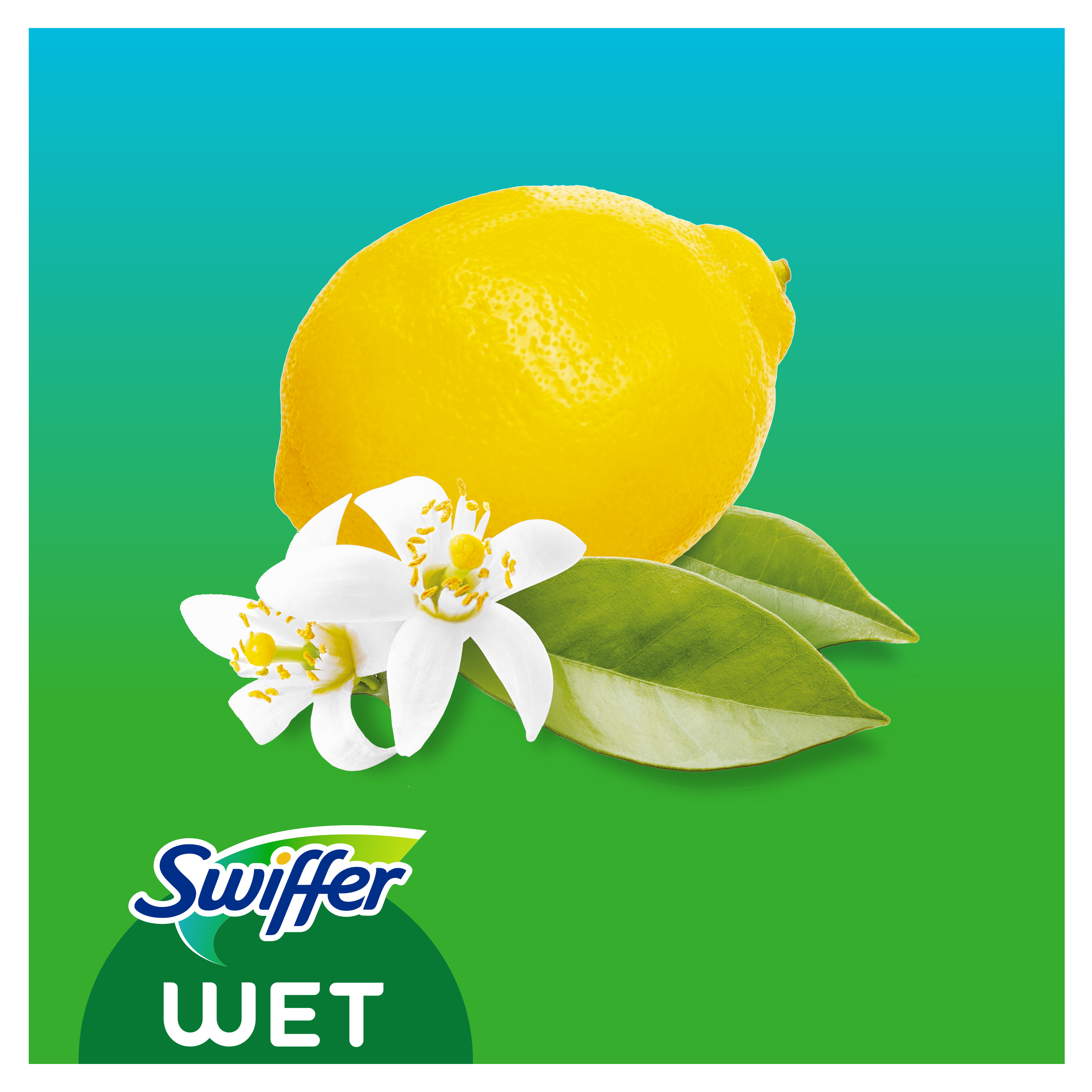 Swiffer Sweeper šlapios šluostės, papildymas 10vnt