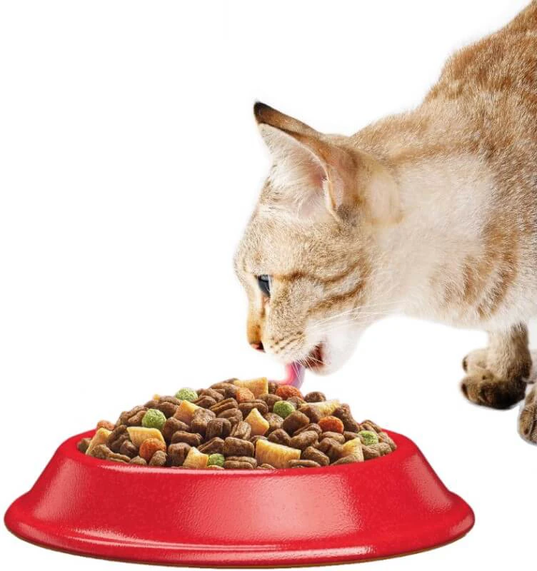 Whiskas Cat Adult su Jautiena ir Morkomis 14kg