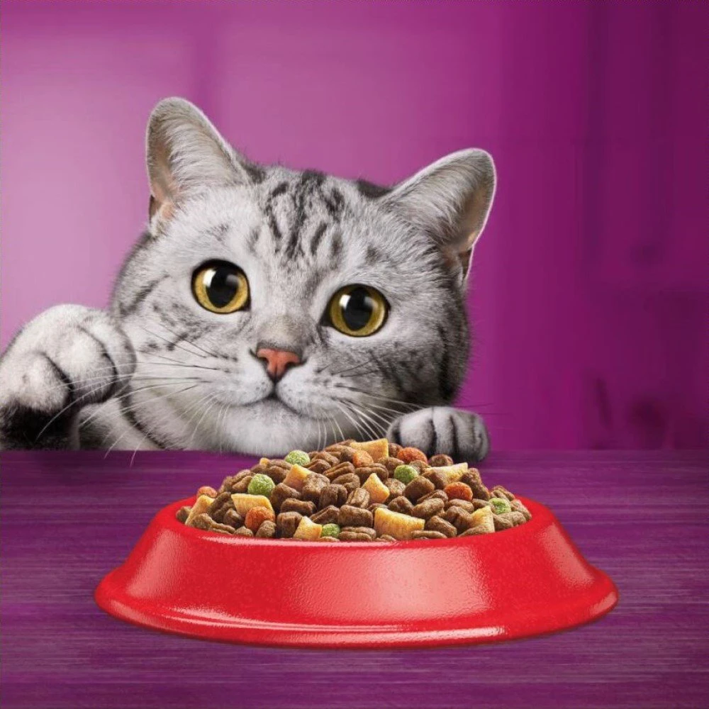 Whiskas Cat Adult su Jautiena ir Morkomis 14kg