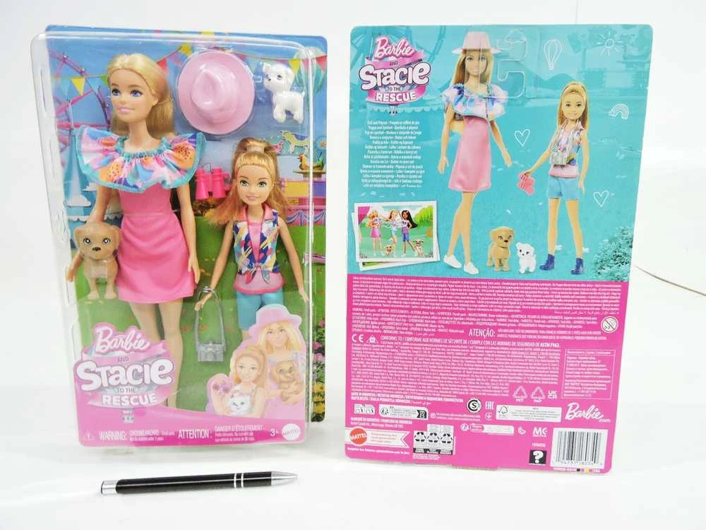 Mattel Lėlės Barbie Stacie ir Barbie 2 vnt. rinkinys