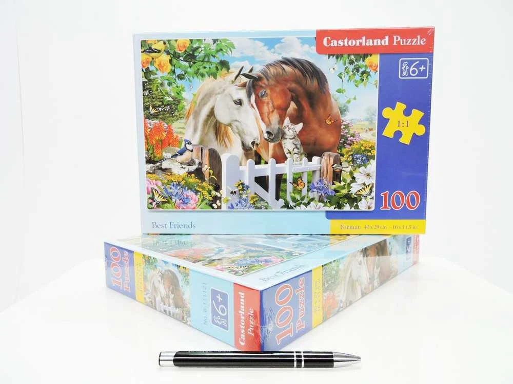 Castorland Dėlionė 100 vnt. - Geriausi draugai