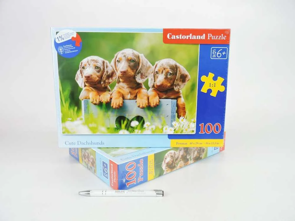 Castorland Dėlionė 100 vnt. - Mieli šunyčiai