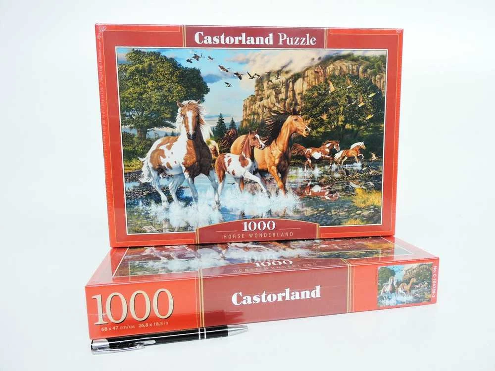 Castorland Dėlionė 1000 vnt. - Laukiniai arkliai