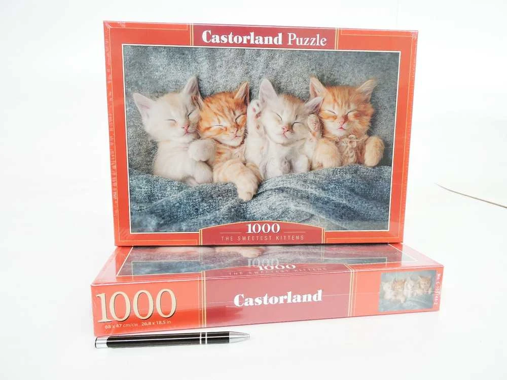 Castorland dėlionė The Sweetest Kittens 1000 det.
