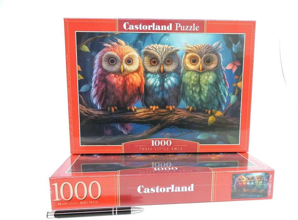 Castorland dėlionė Three Little Owls 1000 det.