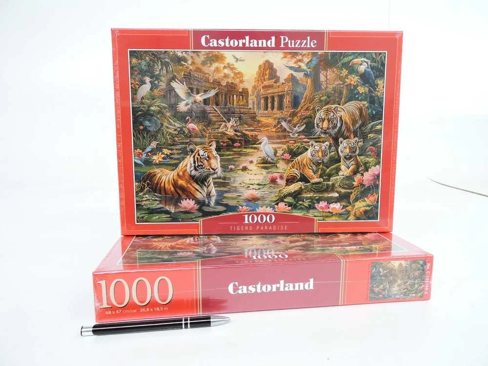 Castorland Dėlionė 1000 vnt. - Tigrų rojus
