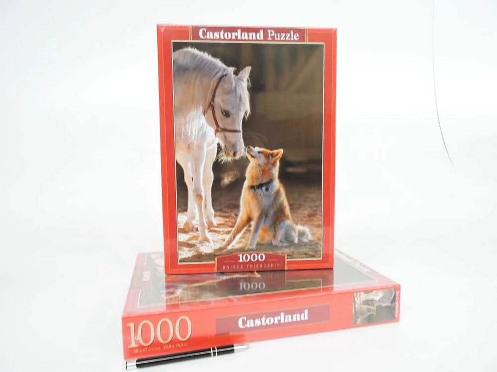Castorland dėlionė Unique Friendship 1000 det