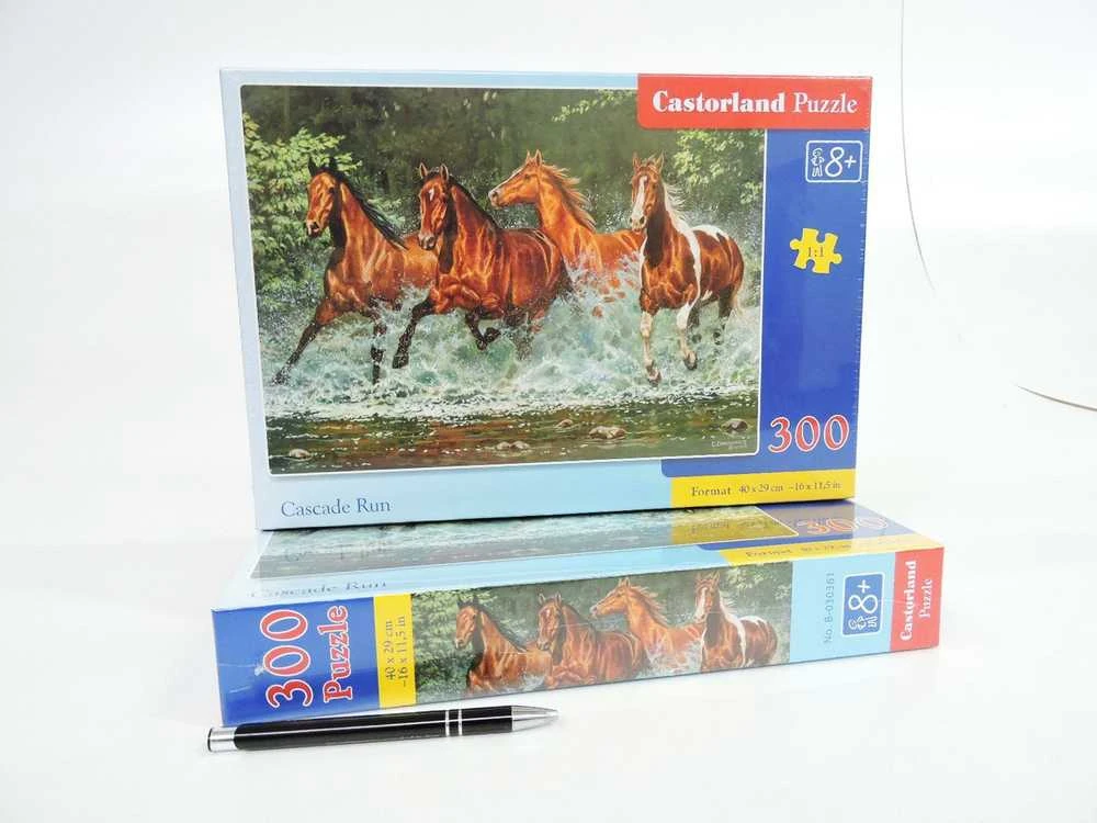 Dėlionė Castorland Puzzle 300 pcs. Cascade Run