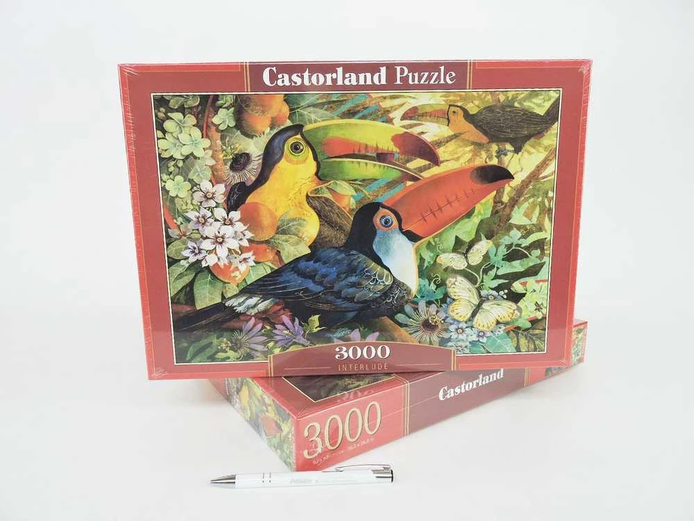 Castorland Dėlionė 3000 vnt. - Interliudas