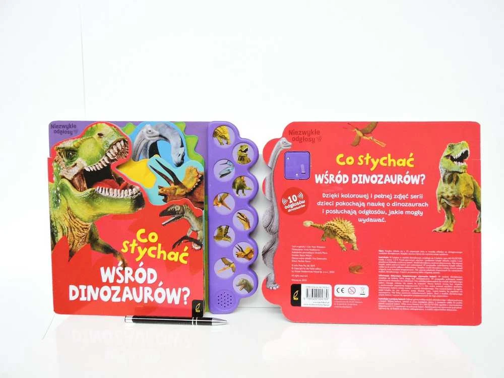 Platon Mokomoji knyga 29x27 cm Kas vyksta su dinozaurais FOKSAL 094789 FOK