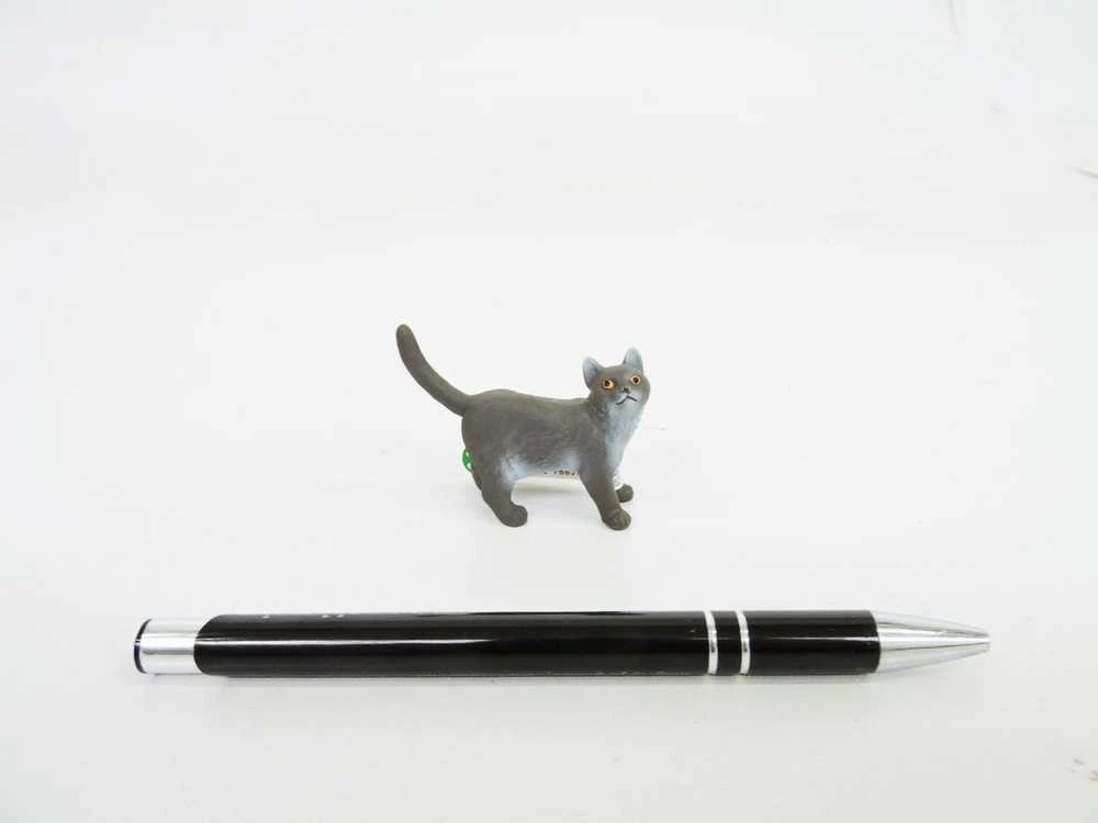 Schleich figūrėlė Britų trumpaplaukė katė