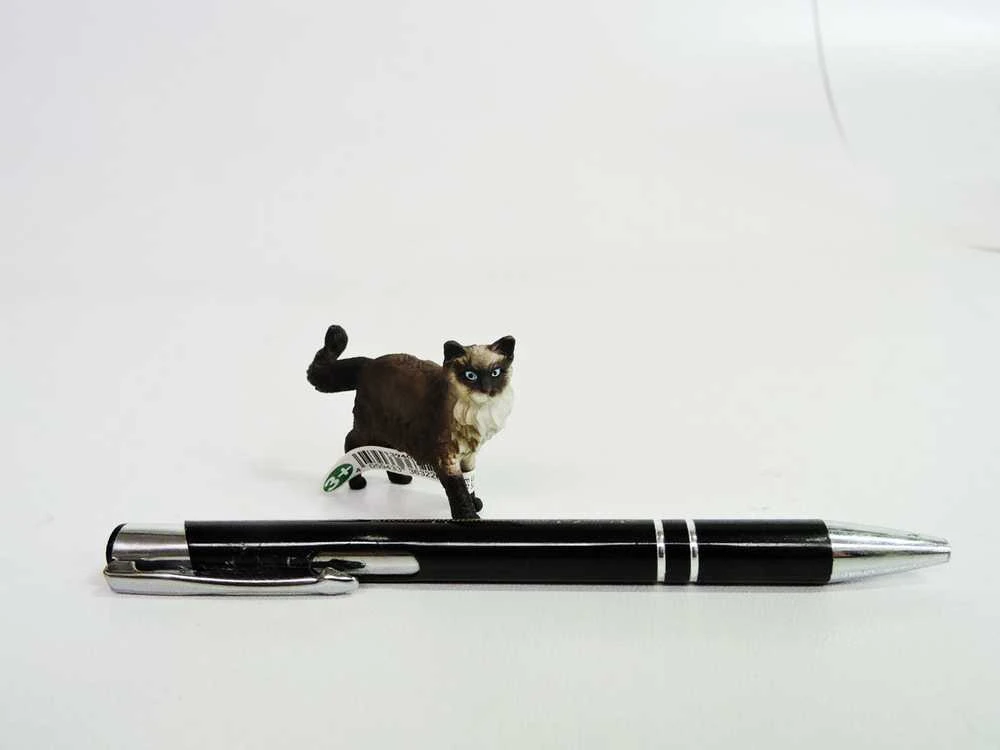 Schleich figūrėlė Katė skudurinukė