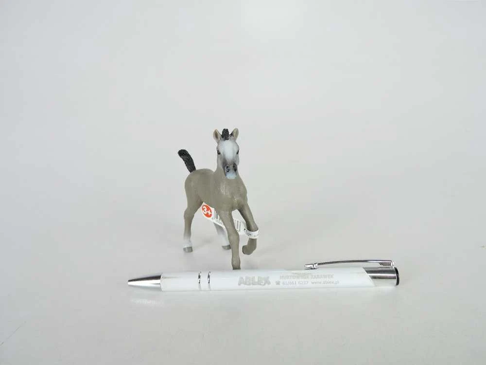 Schleich figūrėlė Cheval de Selle Francais veislės kumeliukas