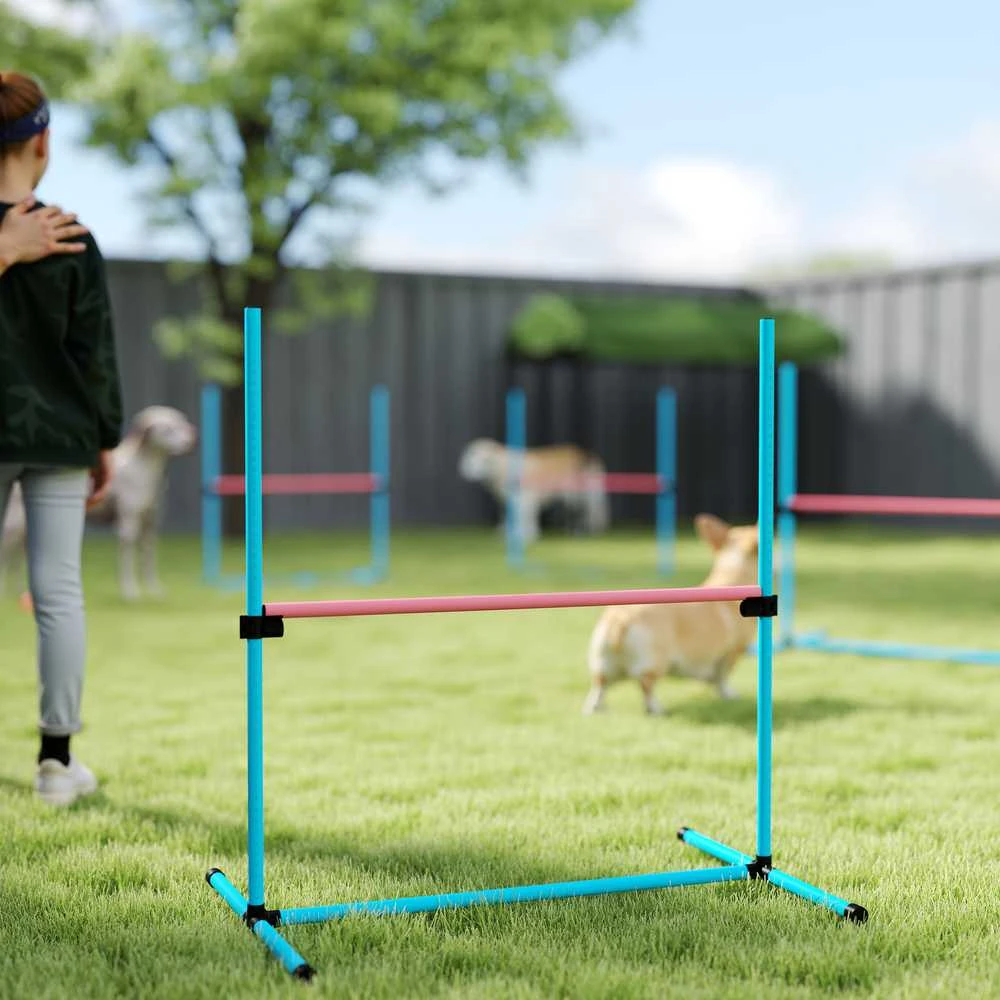 Aosom Agility Setas, 99x65x94 cm, Šviesiai mėlyna, Reguliuojama treniruočių įranga