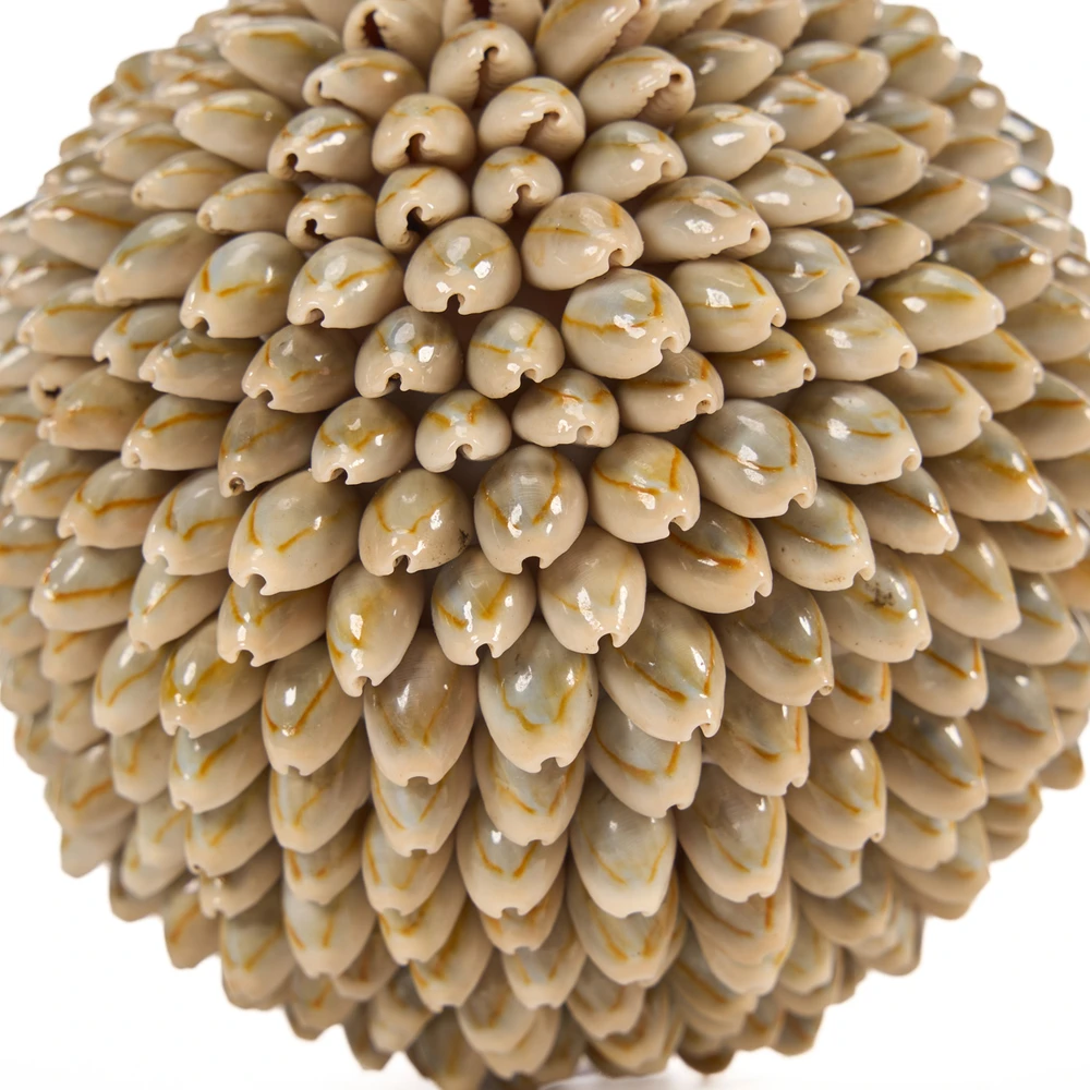 Bazaar Dekoratyvinis kamuolys Oluolu Shell Ball 13x13x13 cm baltas, kriauklė