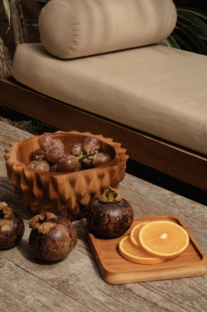 Bazaar Dubuo, Tekinio šaknies Durian medis, 0,2x0,2x0,1 m, Ruda