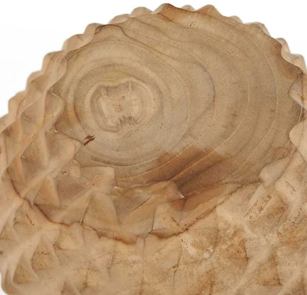 Bazaar Dubuo, Tekinio šaknies Durian medis, 0,2x0,2x0,1 m, Ruda