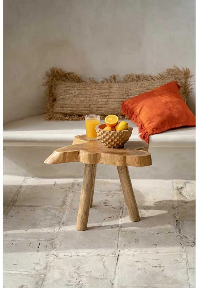 Bazaar Dubuo, Tekinio šaknies Durian medis, 0,2x0,2x0,1 m, Ruda