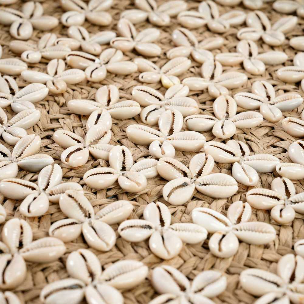 Bazaar Plokštė, Costa Shell, 0,42x0,42x0,06 m, Natūraliai baltos spalvos