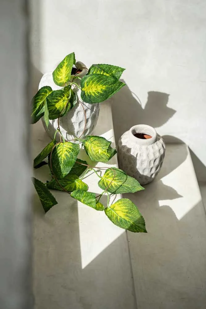 Bazaar Vaza, madinga, 16x16x18 cm, Betonas