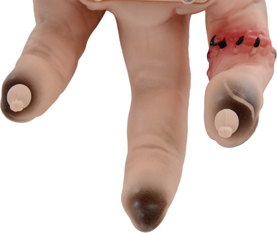 HOMCOM 21cm Helovino dekoracija Realistiška randuota ranka su veiksmo ir garso funkcija, baisi rekvizito dekoracija, siaubo rekvizitas, tinkantis Helovinui ir Cosplay