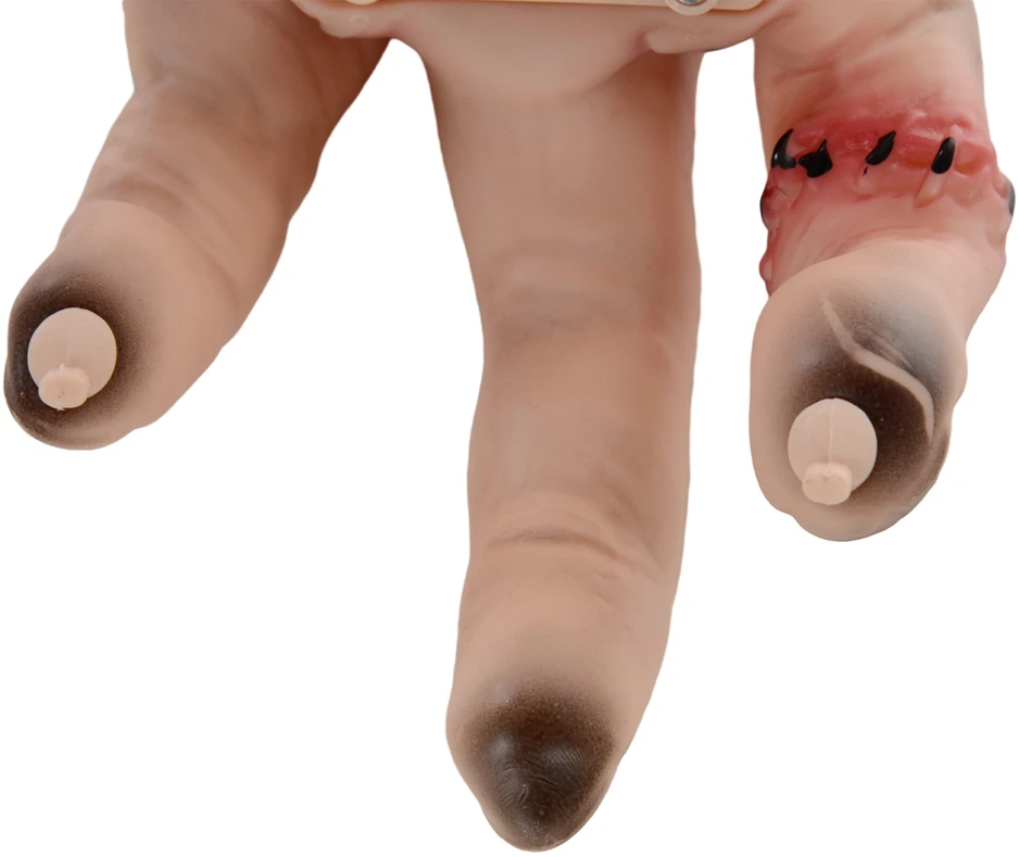 HOMCOM 21cm Helovino dekoracija Realistiška randuota ranka su veiksmo ir garso funkcija, baisi rekvizito dekoracija, siaubo rekvizitas, tinkantis Helovinui ir Cosplay