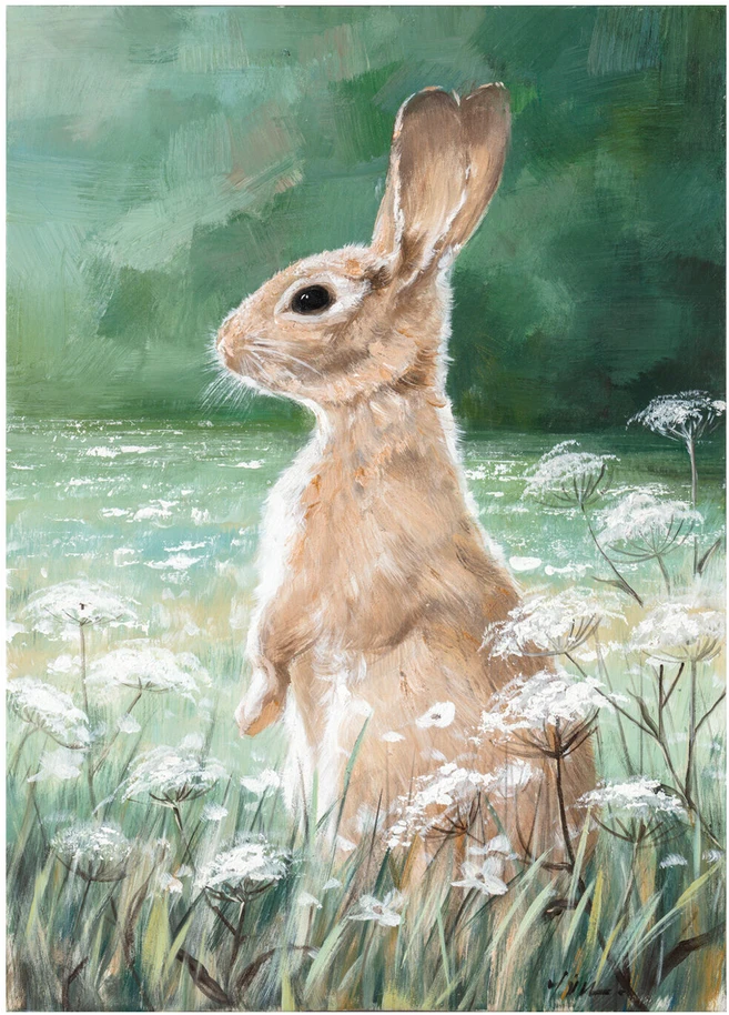 Home4You Aliejinė tapyba 50x70cm, triušis ant pievos