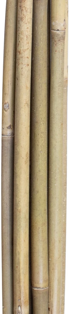 Home4You Bamboo Bambuko lazdos SODE H150cm 10vnt/komplektas D10/12mm