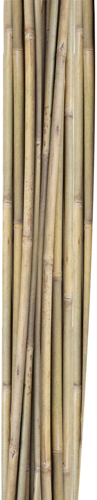 Home4You Bamboo Bambuko lazdos SODE H150cm 10vnt/komplektas D10/12mm