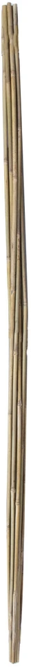 Home4You Bamboo Bambuko lazdos SODE H150cm 10vnt/komplektas D10/12mm