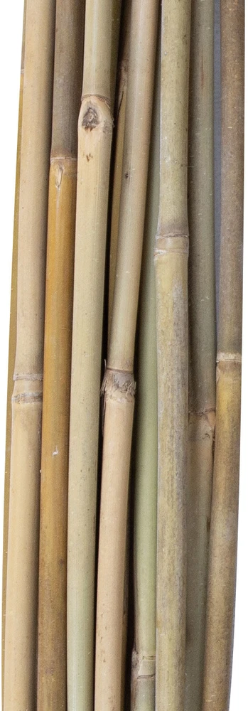 Home4You Bamboo Bambuko lazdos SODE H120cm 20vnt/komplektas D8/10mm