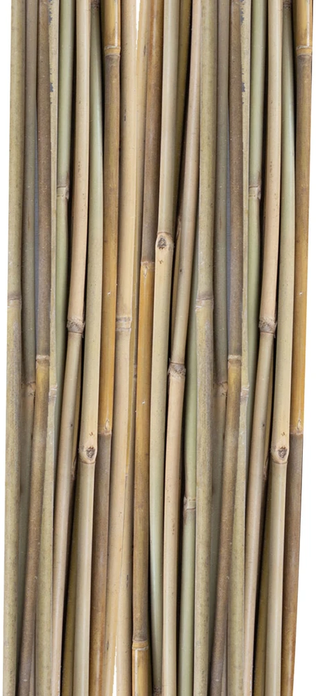 Home4You Bamboo Bambuko lazdos SODE H120cm 20vnt/komplektas D8/10mm