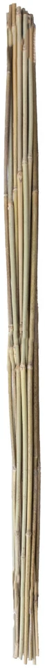 Home4You Bamboo Bambuko lazdos SODE H120cm 20vnt/komplektas D8/10mm