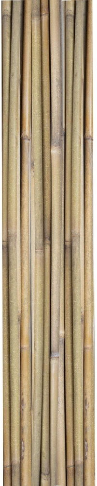 Home4You Bamboo Bambuko lazdos SODE H180cm 10vnt/komplektas D12/14mm
