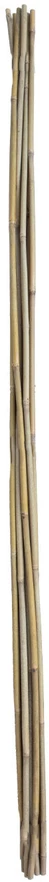 Home4You Bamboo Bambuko lazdos SODE H180cm 10vnt/komplektas D12/14mm