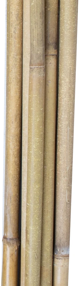 Home4You Bamboo Bambuko lazdos SODE H180cm 10vnt/komplektas D12/14mm
