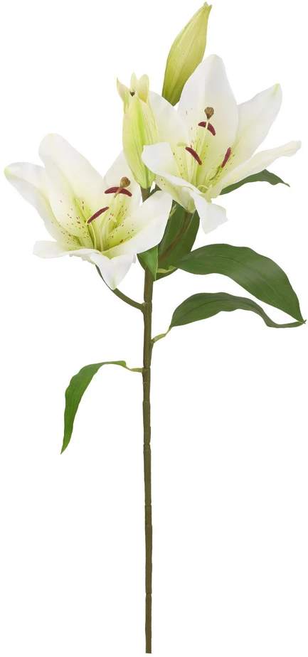 Home4You Dirbtinė gėlė GARDEN H75cm, balta lelija