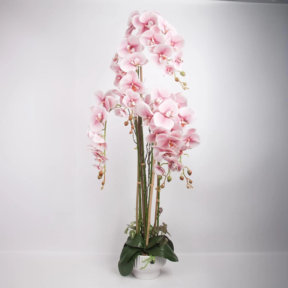 Home4You Dirbtinė orchidėja 124 cm šviesiai rožinė