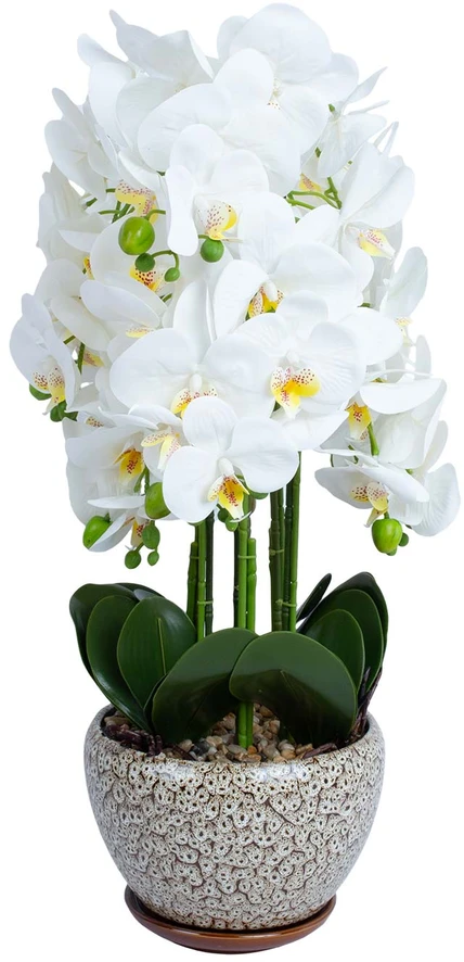 Home4You Orchidėja SODE H72cm pilkas vazonas