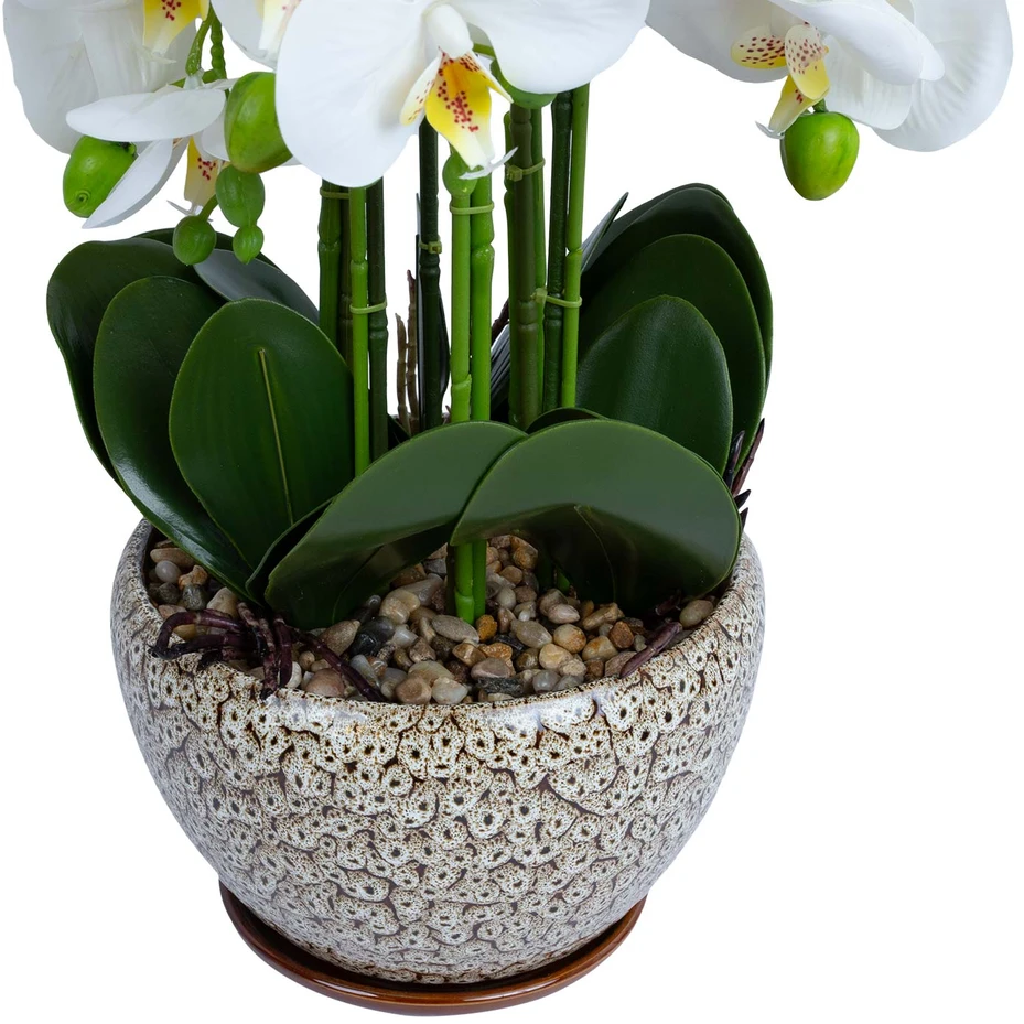 Home4You Orchidėja SODE H72cm pilkas vazonas