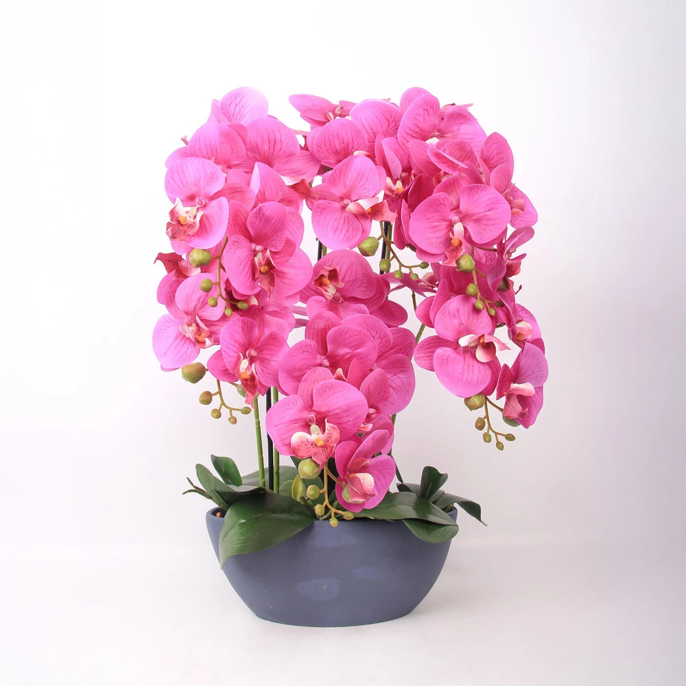 Home4You Dirbtinė orchidėja, kompozicija, 64 cm, tamsiai rožinė