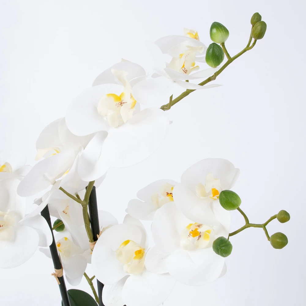 Home4You Orchidėja VĖJAS SODOJE H55cm, balta