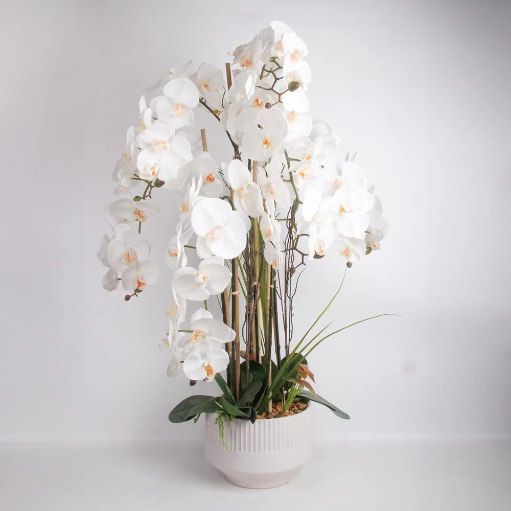 Home4You Dirbtinė orchidėjų kompozicija 102 cm balta