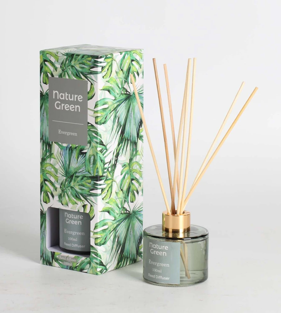 Home4You Nendrių difuzorius NATURE Žalias 100ml, Evergreen
