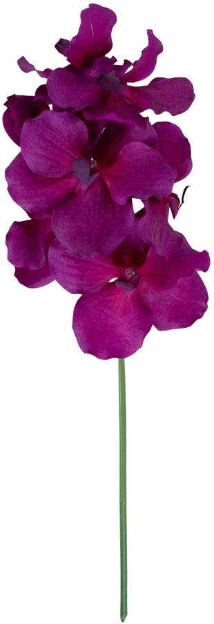 Home4You Orchidėja ŽIEDAS H60cm, mišinys