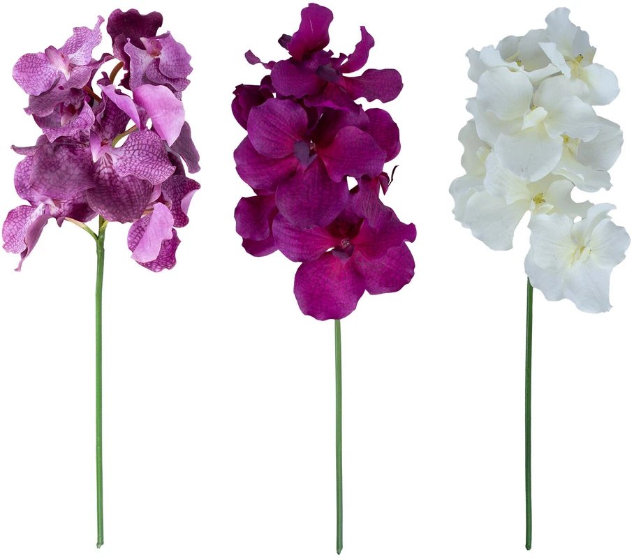 Home4You Orchidėja ŽIEDAS H60cm, mišinys