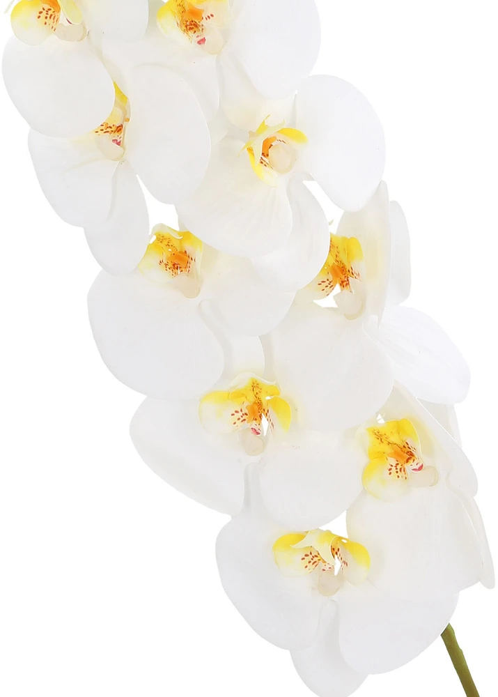 Home4You Orchidėja namams H92cm, baltas falenopsis